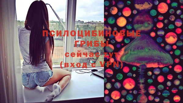 шишки Лихославль