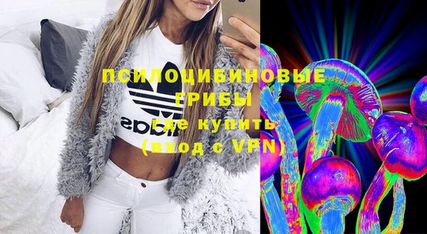 шишки Лихославль